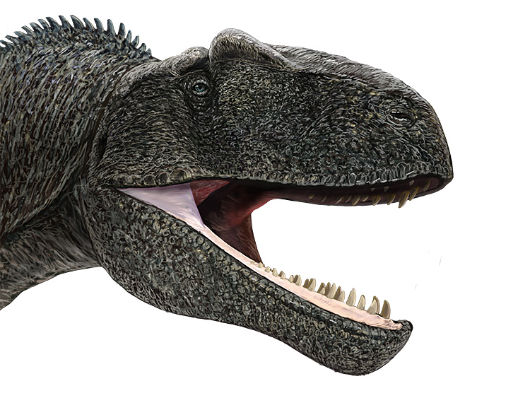 ギガノトサウルス・カロリニイ