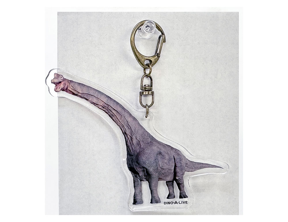 ブラキオサウルス アクリルキーホルダー