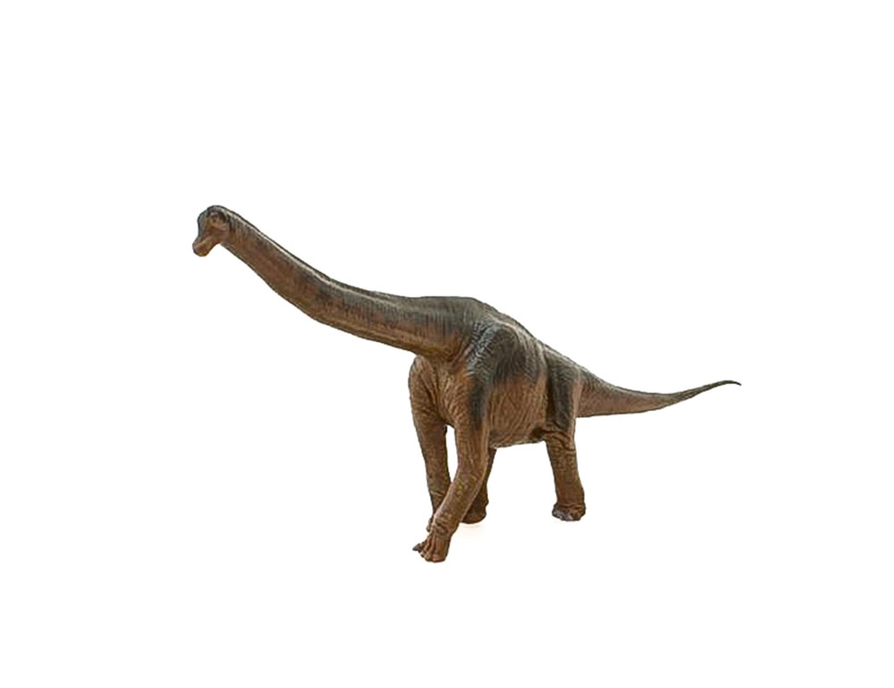 ブラキオサウルス ソフトモデル