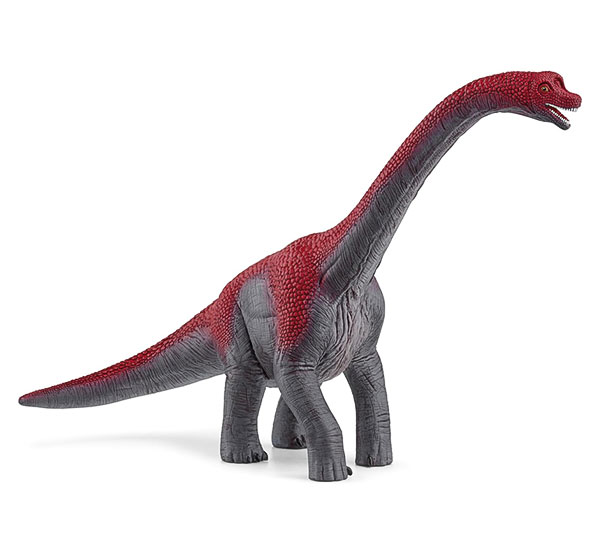 DINOバザール｜【公式】恐竜ライブ ディノサファリ DINO SAFARI 2025