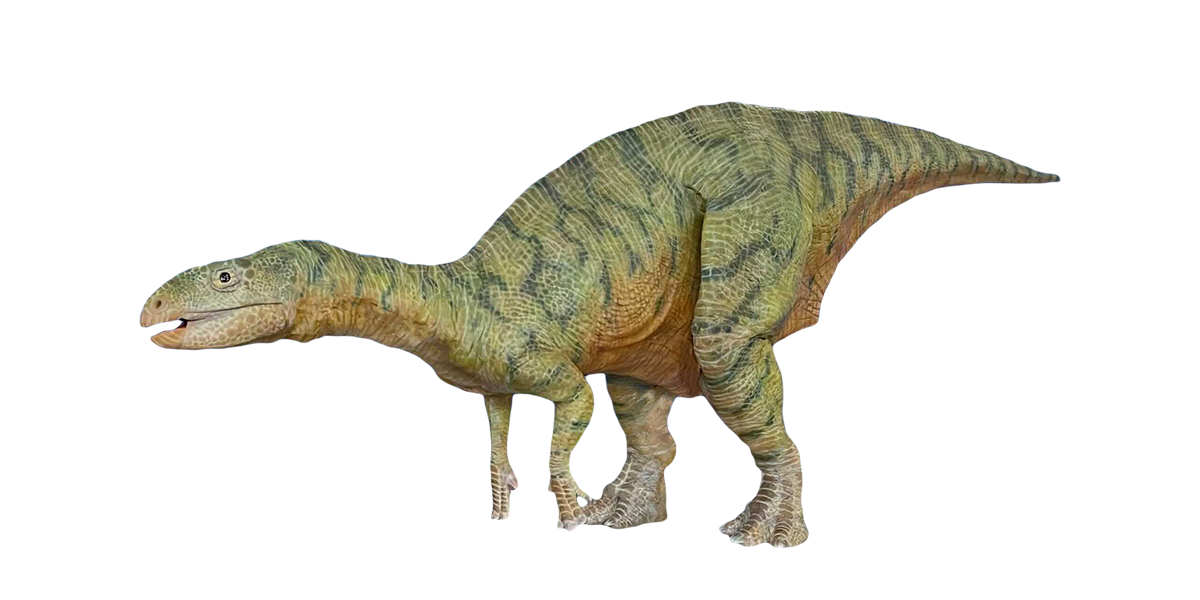 フクイサウルス