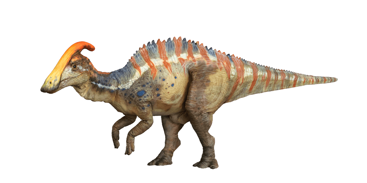 パラサウロロフス