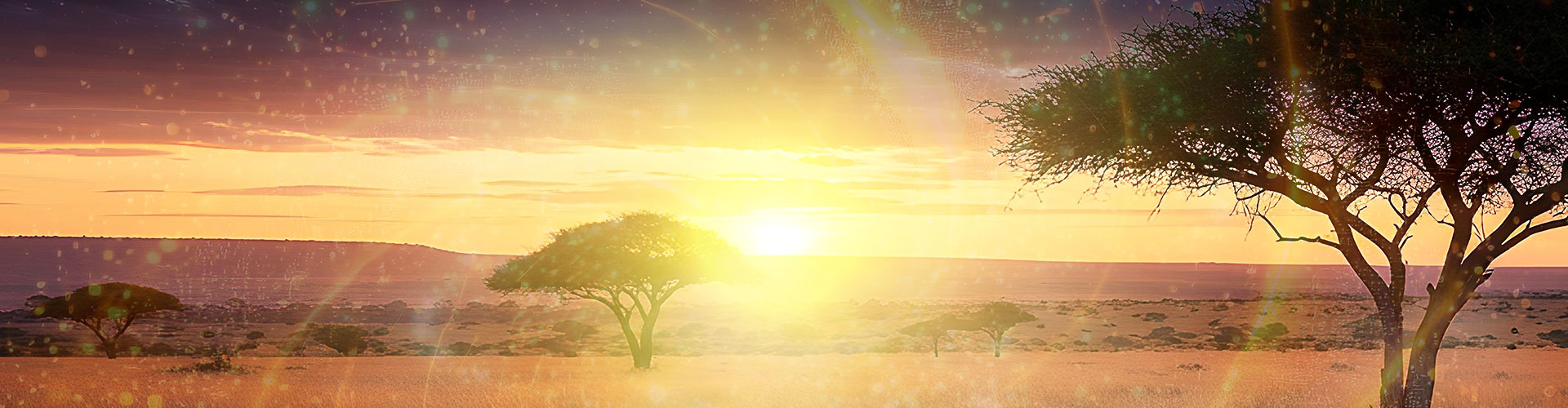 「恐竜ライブ ディノサファリ DINO SAFARI 2026」イメージ